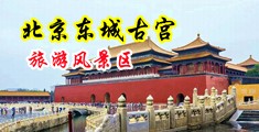 操女逼网址中国北京-东城古宫旅游风景区